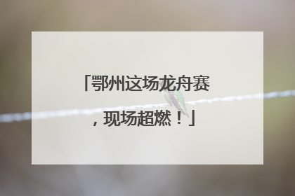 鄂州这场龙舟赛，现场超燃！