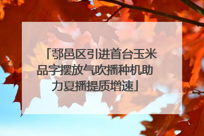 鄠邑区引进首台玉米品字摆放气吹播种机助力夏播提质增速