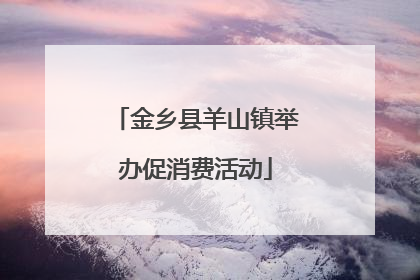 金乡县羊山镇举办促消费活动