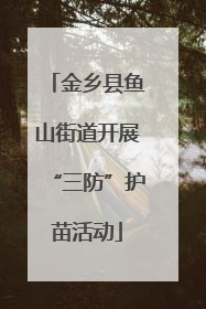 金乡县鱼山街道开展“三防”护苗活动