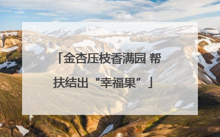 金杏压枝香满园 帮扶结出“幸福果”