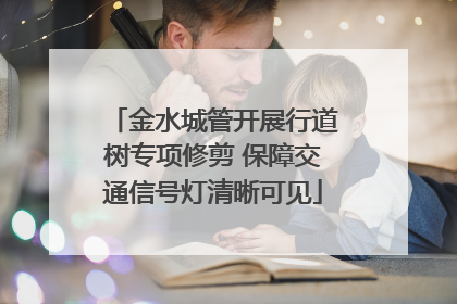 金水城管开展行道树专项修剪 保障交通信号灯清晰可见