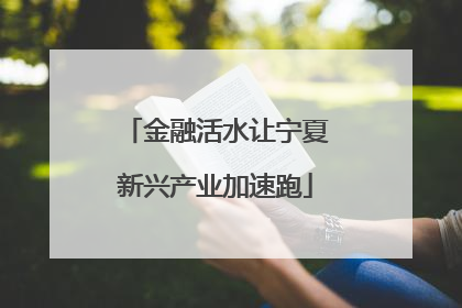金融活水让宁夏新兴产业加速跑
