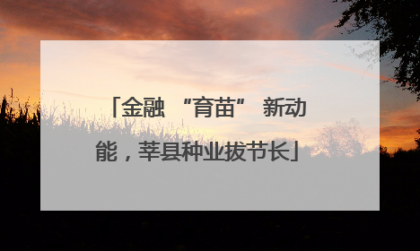金融 “育苗” 新动能，莘县种业拔节长