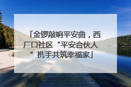 金锣敲响平安曲，西厂口社区“平安合伙人”携手共筑幸福家