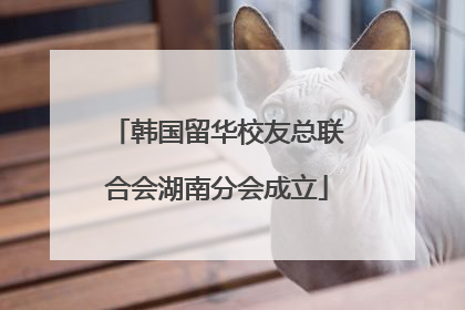 韩国留华校友总联合会湖南分会成立