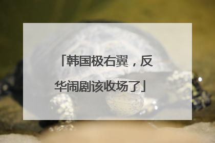 韩国极右翼，反华闹剧该收场了