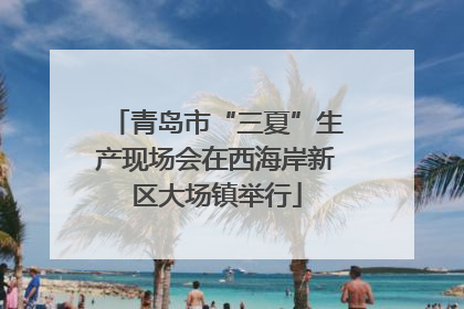 青岛市“三夏”生产现场会在西海岸新区大场镇举行