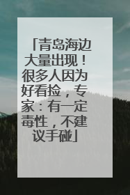 青岛海边大量出现！很多人因为好看捡，专家：有一定毒性，不建议手碰