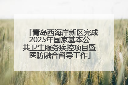 青岛西海岸新区完成2025年国家基本公共卫生服务疾控项目暨医防融合督导工作