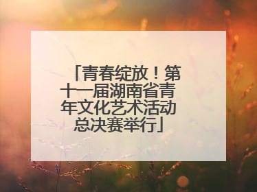 青春绽放！第十一届湖南省青年文化艺术活动总决赛举行