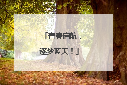 青春启航，逐梦蓝天！