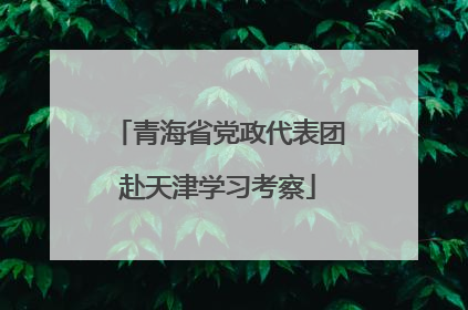 青海省党政代表团赴天津学习考察
