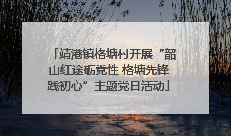 靖港镇格塘村开展“韶山红途砺党性 格塘先锋践初心”主题党日活动