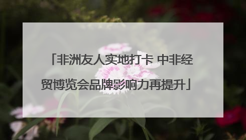 非洲友人实地打卡 中非经贸博览会品牌影响力再提升