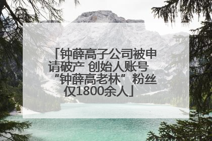 钟薛高子公司被申请破产 创始人账号“钟薛高老林”粉丝仅1800余人