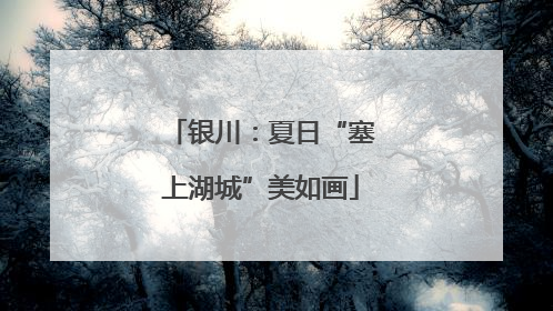 银川：夏日“塞上湖城”美如画