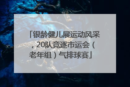银龄健儿展运动风采，20队竞逐市运会（老年组）气排球赛