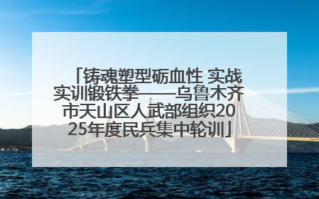 铸魂塑型砺血性 实战实训锻铁拳——乌鲁木齐市天山区人武部组织2025年度民兵集中轮训