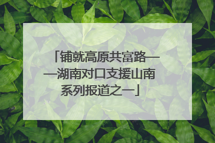 铺就高原共富路——湖南对口支援山南系列报道之一