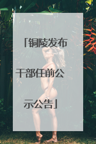 铜陵发布干部任前公示公告