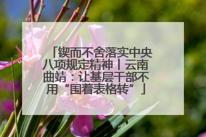 锲而不舍落实中央八项规定精神丨云南曲靖：让基层干部不用“围着表格转”