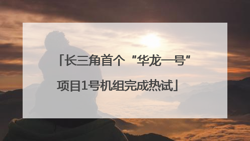 长三角首个“华龙一号”项目1号机组完成热试