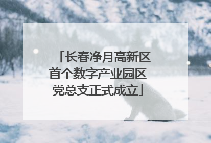 长春净月高新区首个数字产业园区党总支正式成立