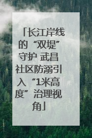 长江岸线的“双堤”守护 武昌社区防溺引入“1米高度”治理视角