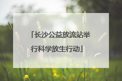 长沙公益放流站举行科学放生行动