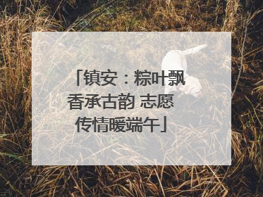 镇安：粽叶飘香承古韵 志愿传情暖端午