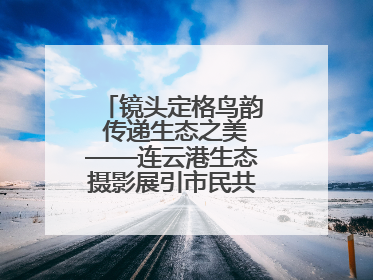 镜头定格鸟韵 传递生态之美——连云港生态摄影展引市民共赏自然之魅
