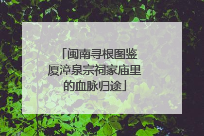 闽南寻根图鉴 厦漳泉宗祠家庙里的血脉归途