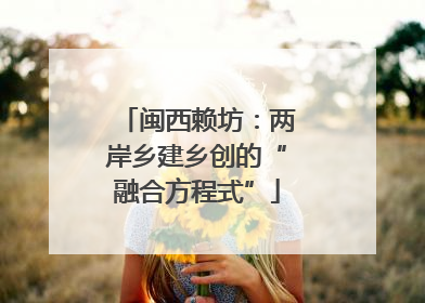 闽西赖坊：两岸乡建乡创的“融合方程式”