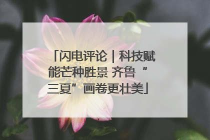 闪电评论｜科技赋能芒种胜景 齐鲁“三夏”画卷更壮美