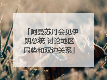 阿曼苏丹会见伊朗总统 讨论地区局势和双边关系