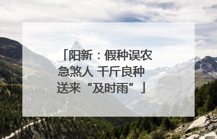 阳新：假种误农急煞人 千斤良种送来“及时雨”
