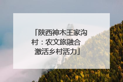 陕西神木王家沟村：农文旅融合 激活乡村活力