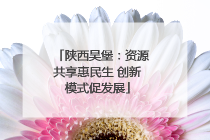 陕西吴堡：资源共享惠民生 创新模式促发展