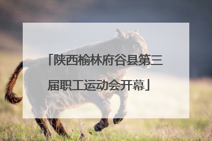陕西榆林府谷县第三届职工运动会开幕