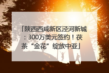 陕西西咸新区泾河新城：300万美元签约！茯茶“金花”绽放中亚