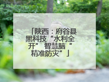 陕西：府谷县黑科技“水利全开” 智慧脑“精准防灾”