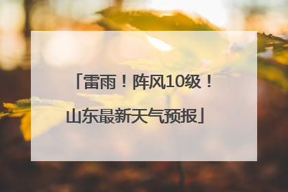 雷雨！阵风10级！山东最新天气预报
