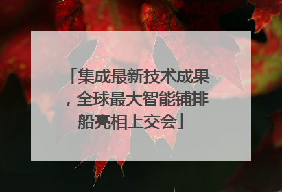 集成最新技术成果，全球最大智能铺排船亮相上交会