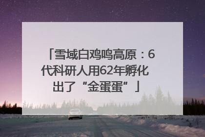 雪域白鸡鸣高原：6代科研人用62年孵化出了“金蛋蛋”