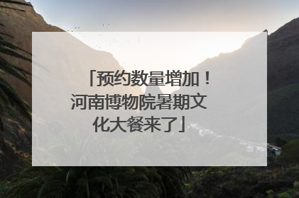 预约数量增加！河南博物院暑期文化大餐来了