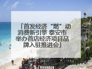 首发经济“燃”动消费新引擎 泰安市举办首店经济项目品牌入驻推进会