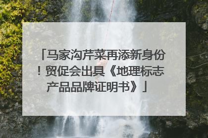 马家沟芹菜再添新身份！贸促会出具《地理标志产品品牌证明书》