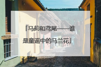 马蔺和鸢尾——谁是童谣中的马兰花