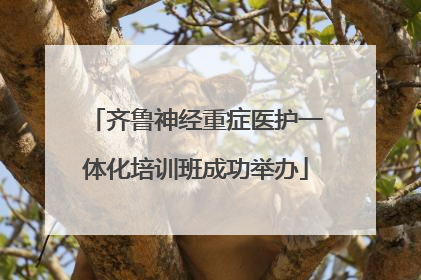 齐鲁神经重症医护一体化培训班成功举办